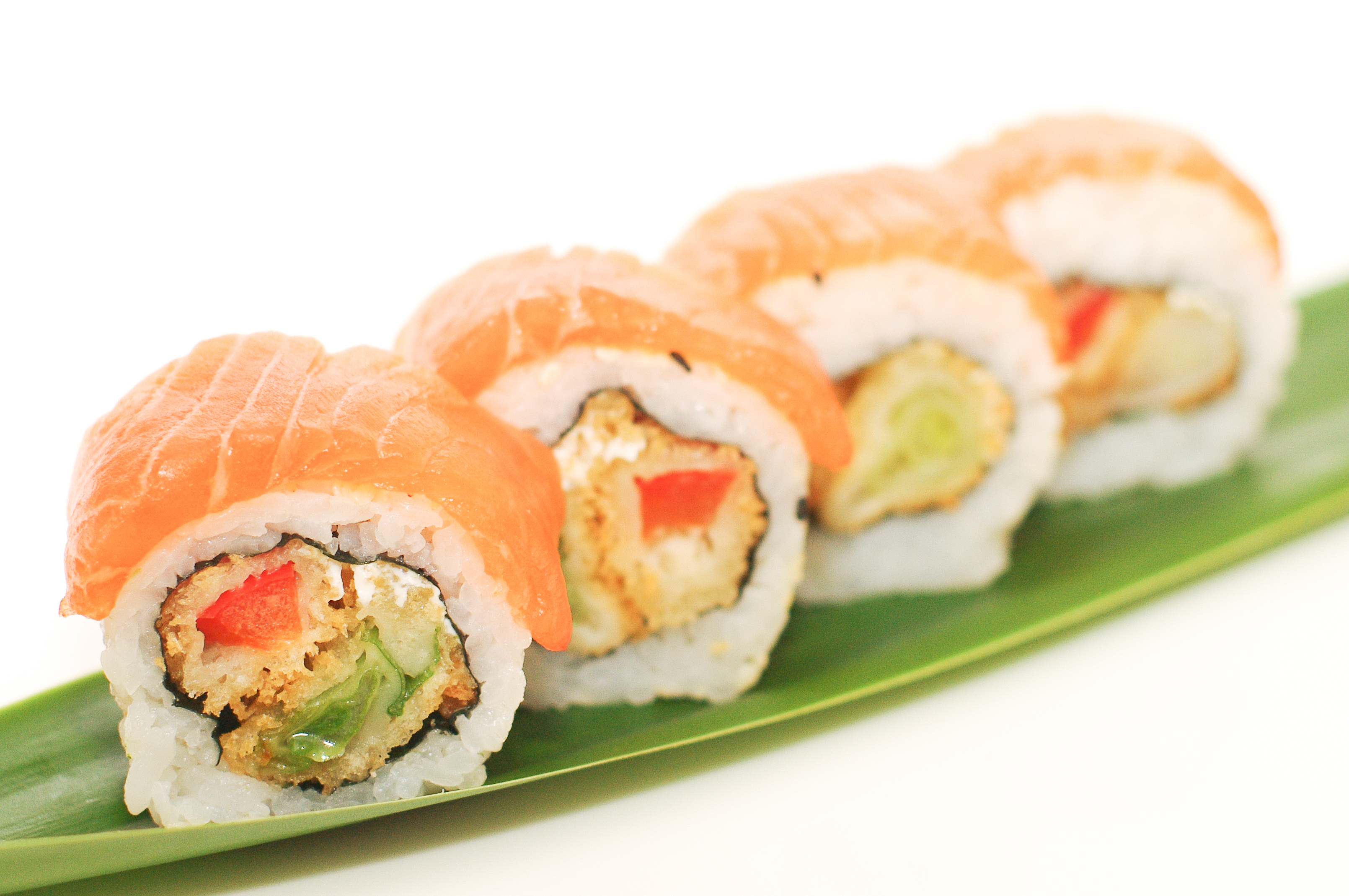 Hikari Friends Salmon